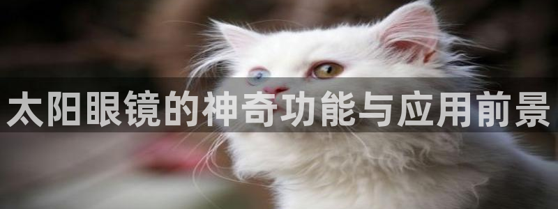 卧龙湾娱乐区