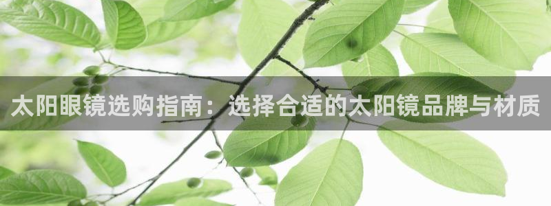 卧龙娱乐招商代理