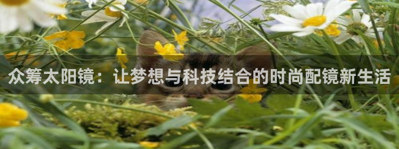 卧龙说娱乐