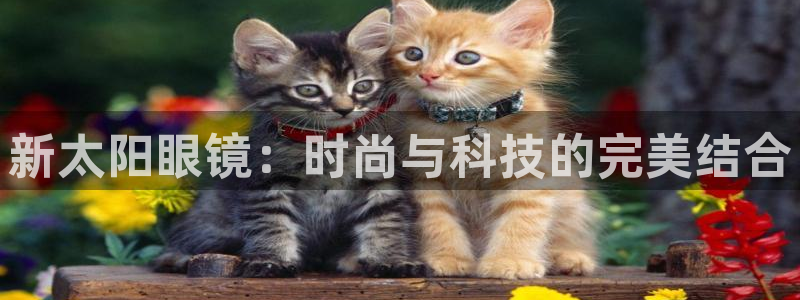 卧龙港娱乐城