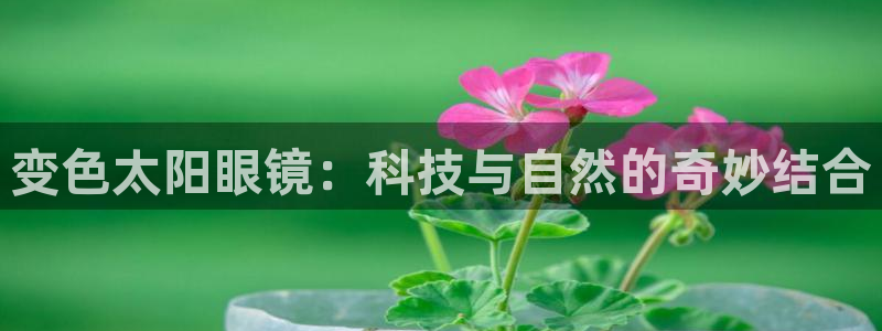 卧龙娱乐地址