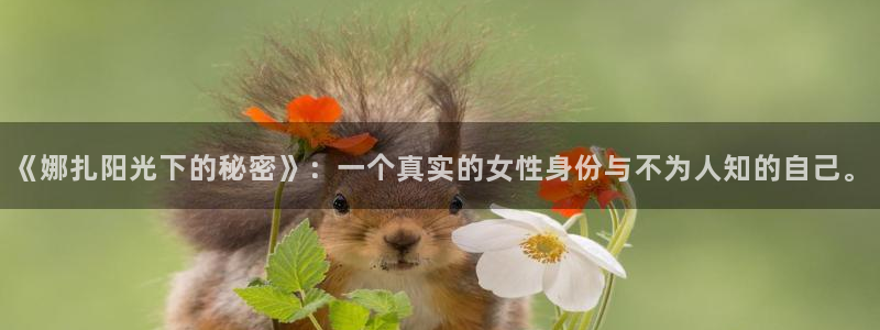 卧龙娱乐总代理电话