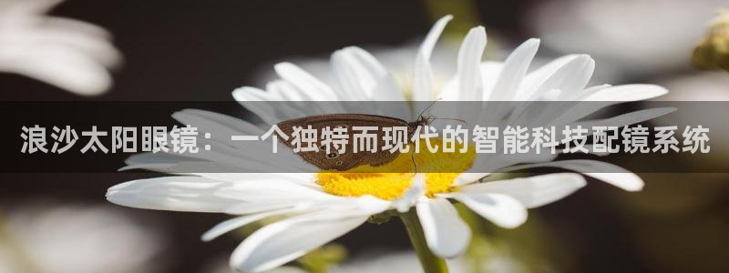 南阳卧龙娱乐会所
