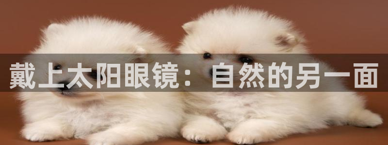 卧龙娱乐平台