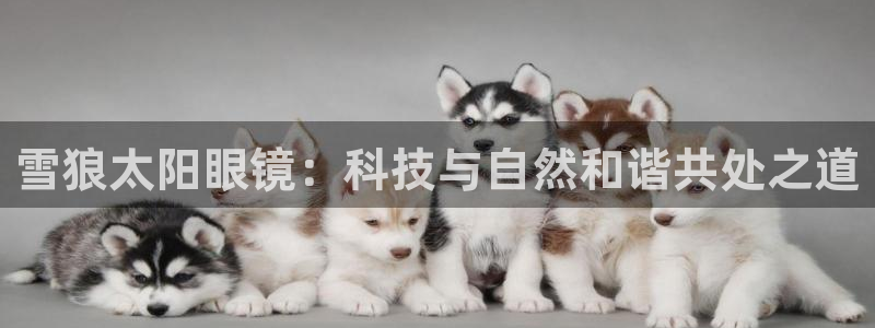 卧龙娱乐软件