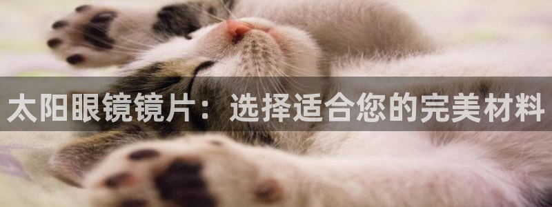 卧龙棋牌娱乐