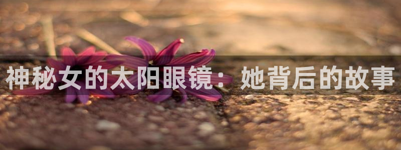 卧龙区凤凰娱乐