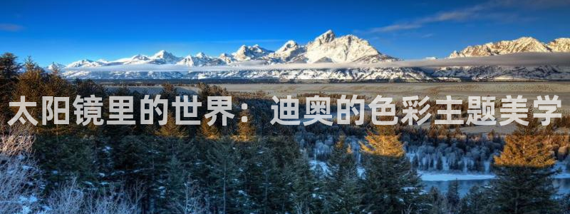 卧龙娱乐在线下载游戏