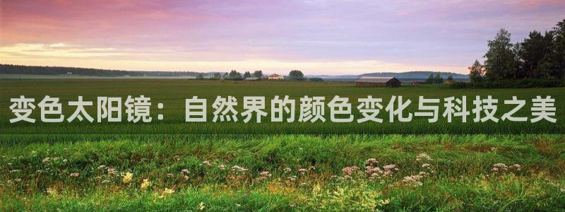 卧龙凤雏娱乐资讯