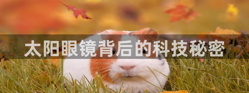 卧龙休闲娱乐人气推荐