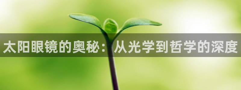 SKY娱乐 卧龙主管60447