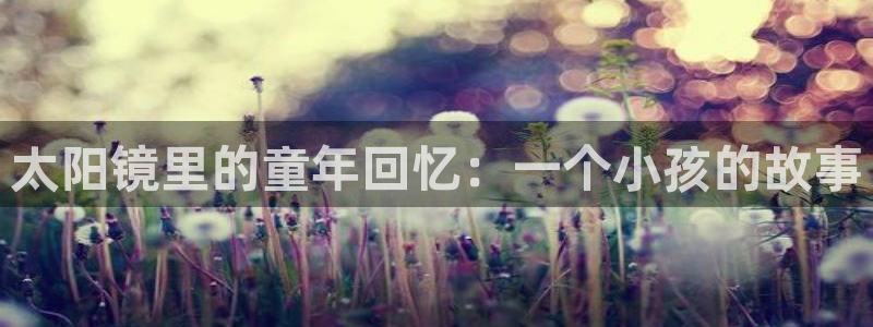 卧龙娱乐挂机软件下载