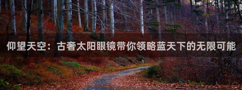 卧龙娱乐app下载