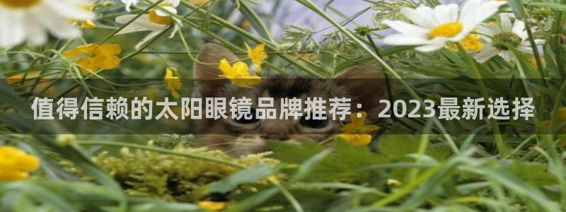 卧龙娱乐招商代理