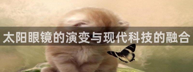 卧龙凤雏娱乐版