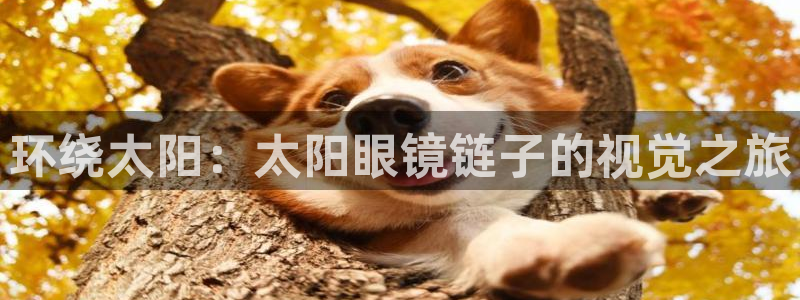 娱乐卧龙凤雏