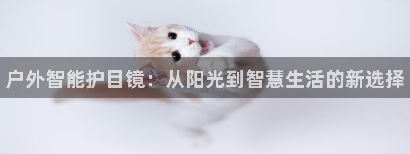 泰安卧龙大观娱乐中心