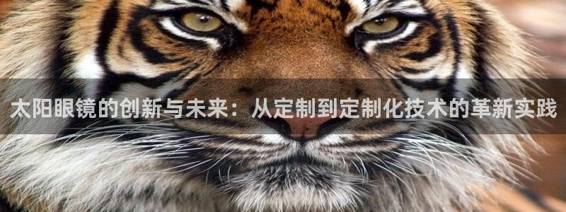 卧龙娱乐在线直播网