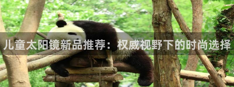 卧龙儿童娱乐设施
