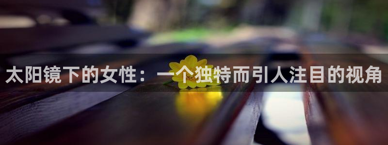 SKY娱乐 卧龙股东60447