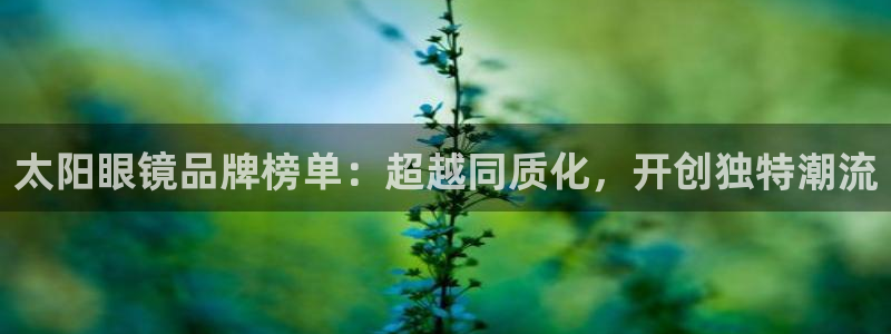 娱乐聚焦卧龙凤雏