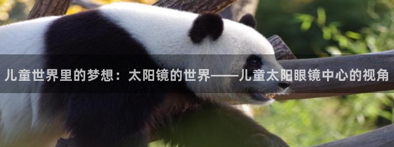 卧龙娱乐老板叫什么名子