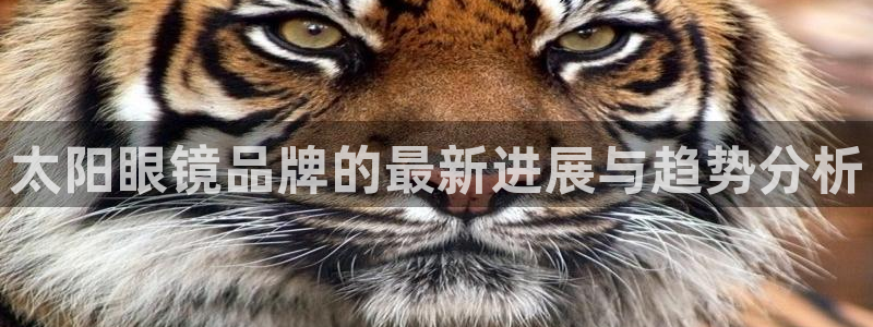 BA娱乐卧龙主管60447