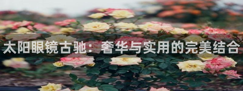 西安卧龙娱乐播报