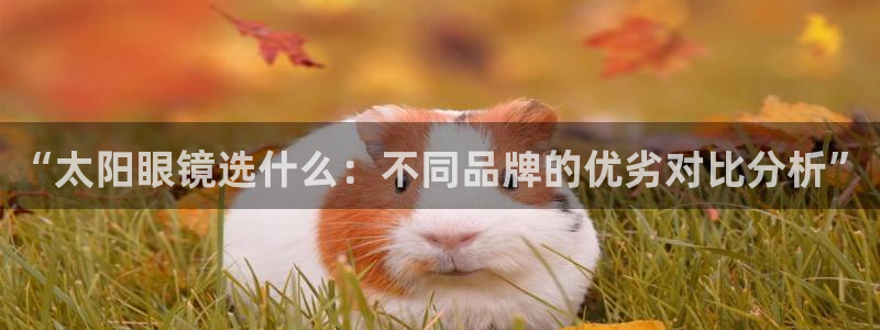 we娱乐 卧龙主管60447