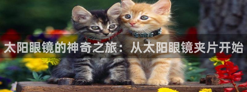 卧龙娱乐平台靠谱吗