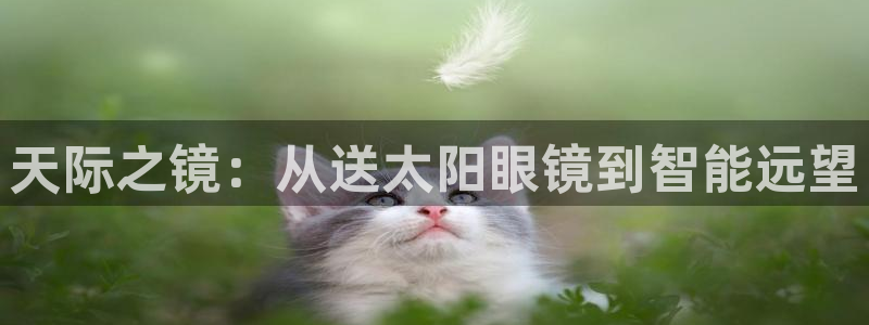 pt娱乐 卧龙主管60447