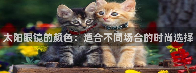 PT娱乐 扣卧龙60447