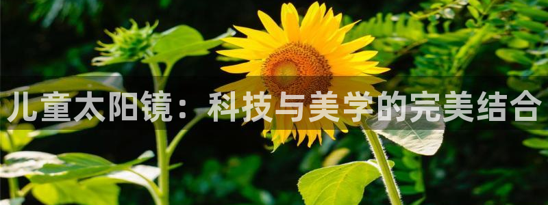 SKY娱乐 卧龙股东60447