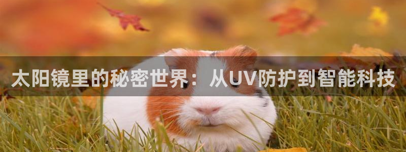 卧龙游乐娱乐设备