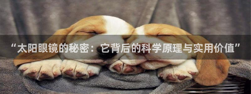 卧龙娱乐集团官网