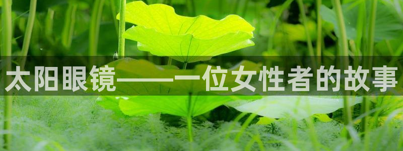 卧龙娱乐彩票官网直播