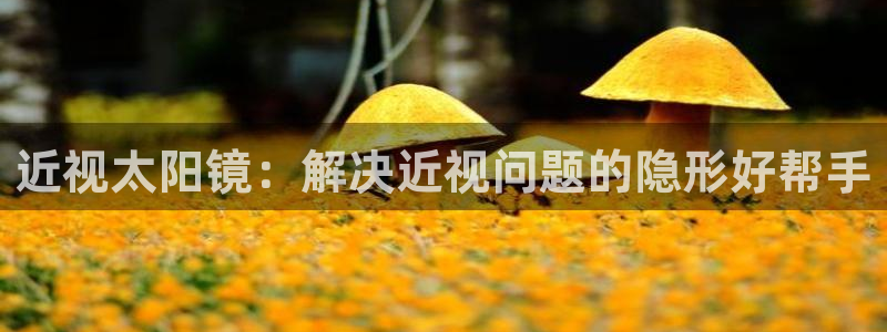 卧龙娱乐主管招聘信息