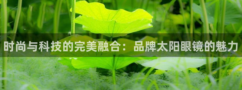 卧龙娱乐平台靠谱