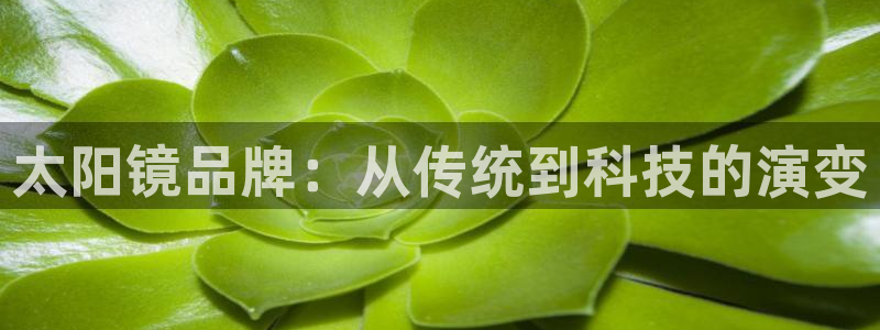 卧龙娱乐集团官网