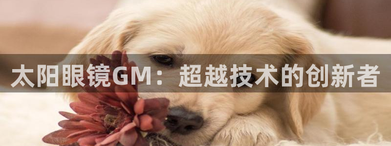 卧龙娱乐设备地址