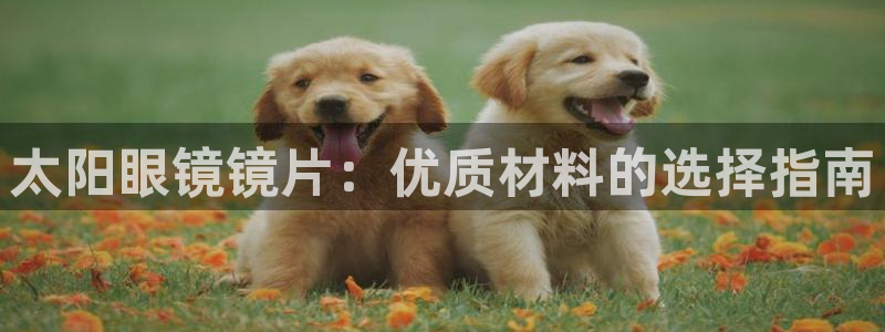 卧龙娱乐总代理电话