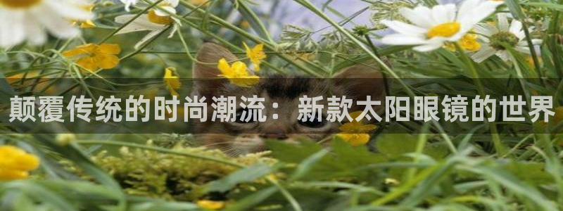 卧龙娱乐是什么