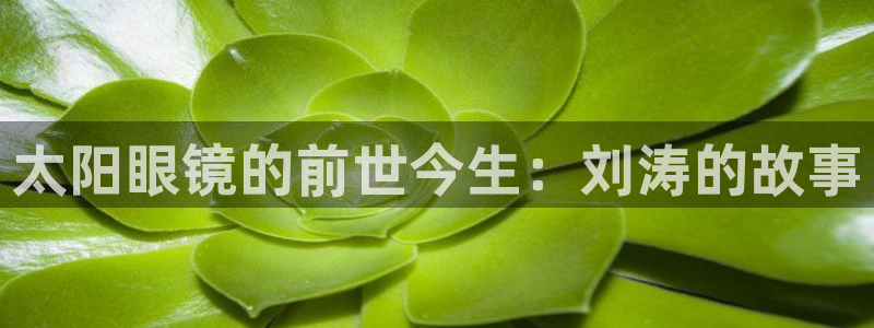 卧龙区凤凰娱乐