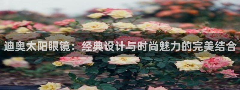 卧龙玩娱乐场