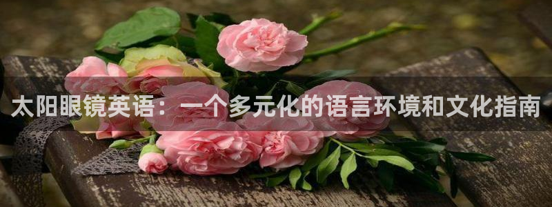 卧龙2娱乐