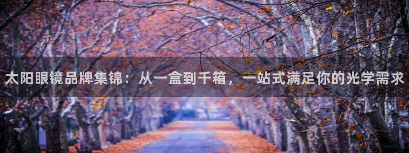 卧龙哥休闲娱乐