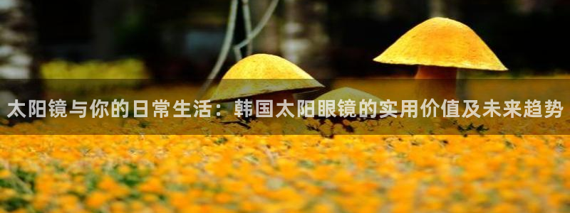 卧龙湾娱乐项目有哪些