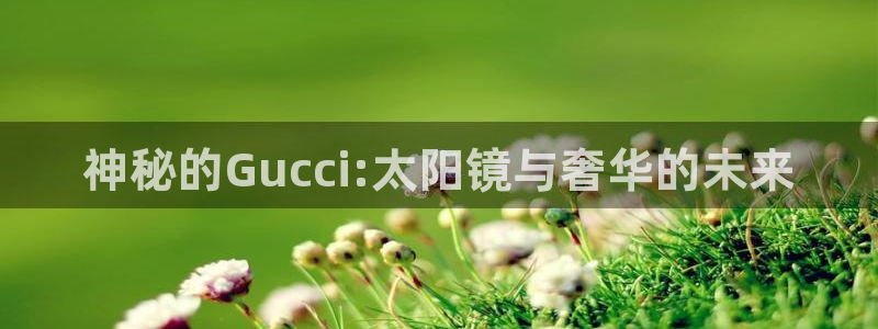 卧龙娱乐地址