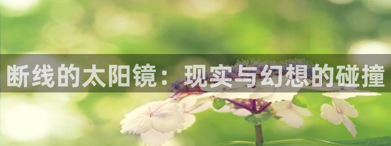 卧龙娱乐老板是谁呀图片