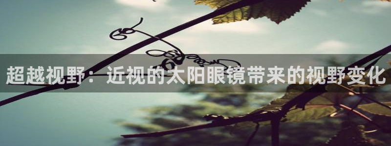 卧龙区娱乐